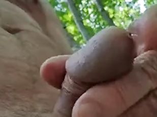 Dad takes a walk in the woods, strokes his cock and makes his balls bounce outdoors.