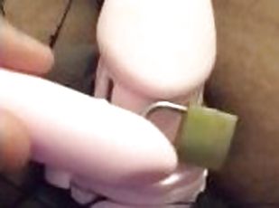 A half-minute of me rubbing a vibrator on my caged cock~???????? (@berryguild)
