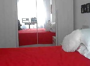 amatør, webcam