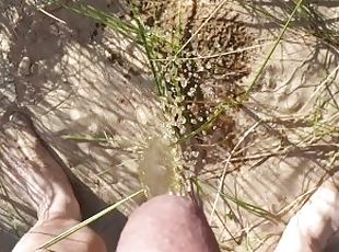 Husband had to pee on the beach