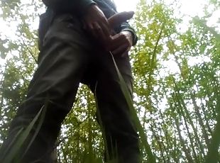 I masturbate my cock outside in the bushes and cum.