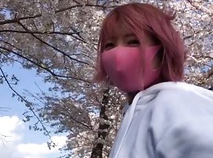 SAKURA ???????????????????????????????????????????