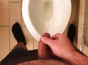 orgasme, pissing, homofil, pov, toalett, italiensk, alene, hotel, pikk