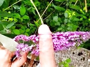 El Chico Guarro Se Puso a Mear en el Parque y Froto Su Polla Grande Con Una Linda Flor ????