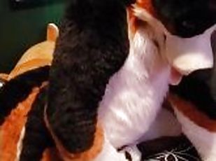 Murrsuiter cumming in slow motion from humping his paws